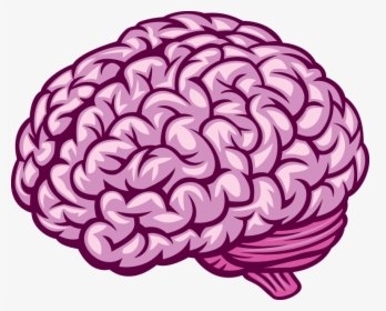 Detail Brain Illustration Vector Nomer 26