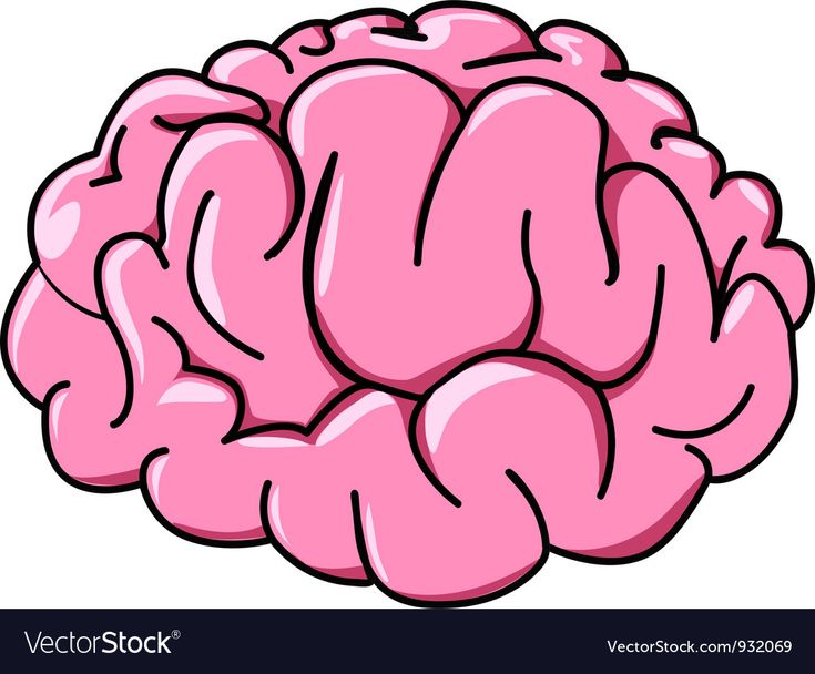 Detail Brain Illustration Vector Nomer 27