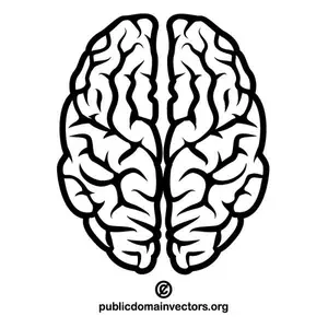 Detail Brain Illustration Vector Nomer 4
