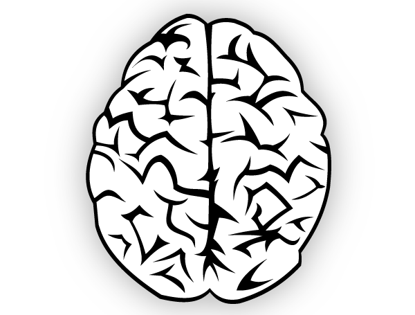 Detail Brain Illustration Vector Nomer 7