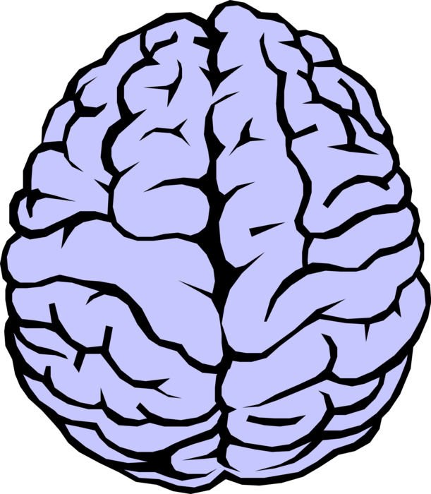 Detail Brain Illustration Vector Nomer 9