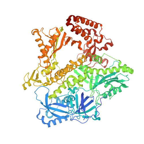 Detail Dna Replikation Enzyme Nomer 18