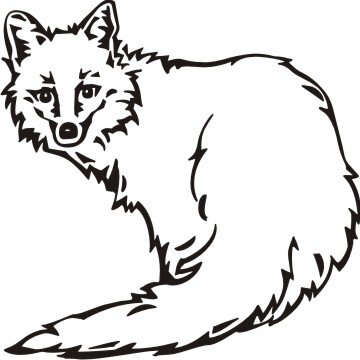 Detail Fuchs Grafik Nomer 18