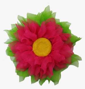 Detail Gerbera Midi Nomer 7