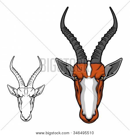 Detail Impala Antelope Horns Nomer 3