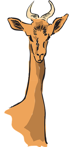 Detail Impala Antelope Horns Nomer 7