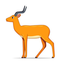 Detail Impala Antelope Horns Nomer 9