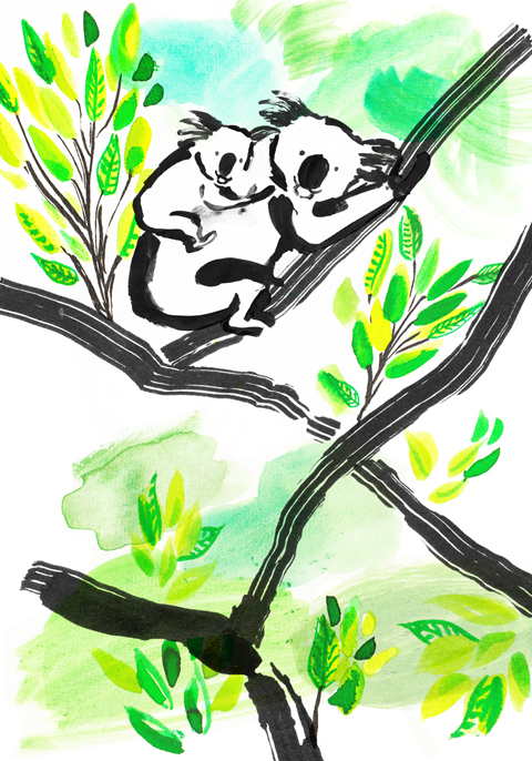 Detail Koala Zeichnung Nomer 19
