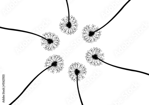 Detail Silhouette Pusteblume Clipart Nomer 11