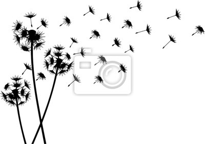 Detail Silhouette Pusteblume Clipart Nomer 20