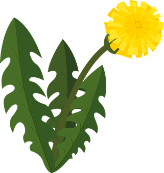 Detail Silhouette Pusteblume Clipart Nomer 24