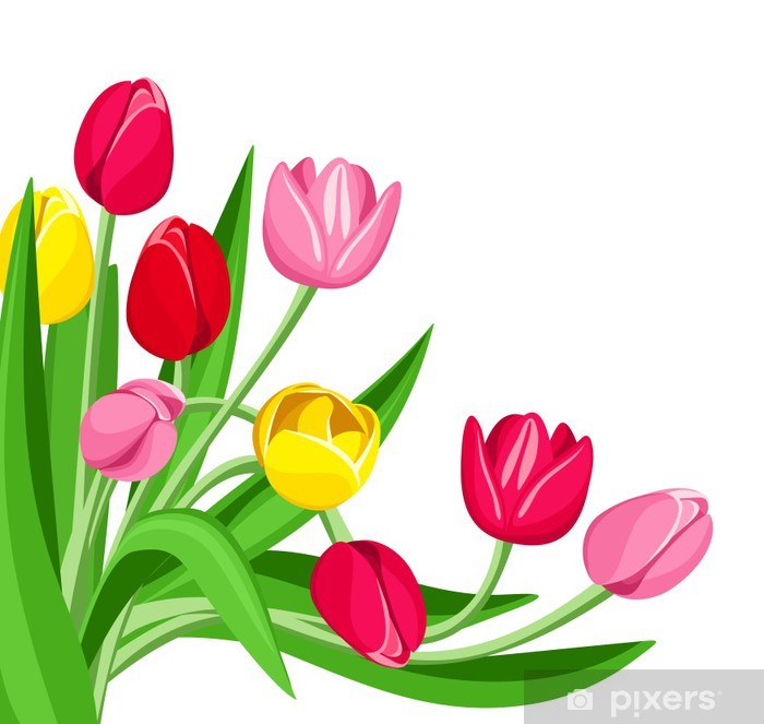 Detail Tulpen Comic Nomer 4