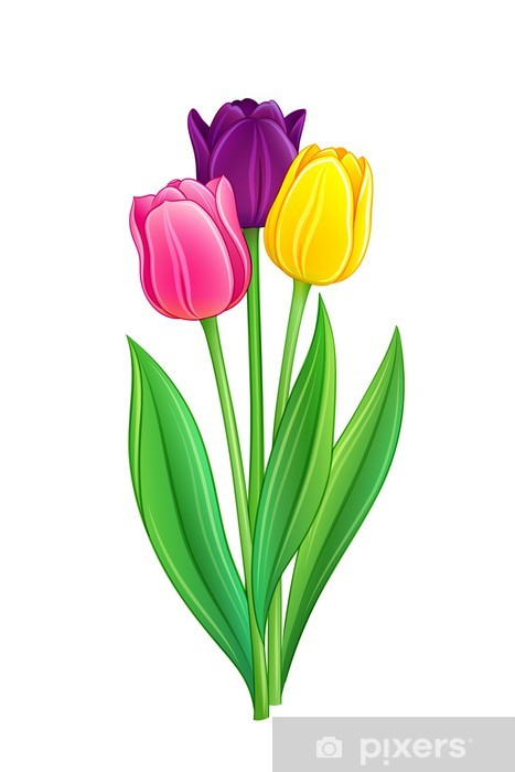 Detail Tulpen Comic Nomer 5