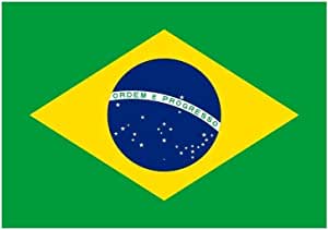 Detail Brasilianische Flagge Nomer 2