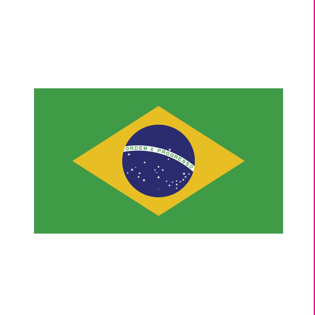 Detail Brasilianische Flagge Nomer 22