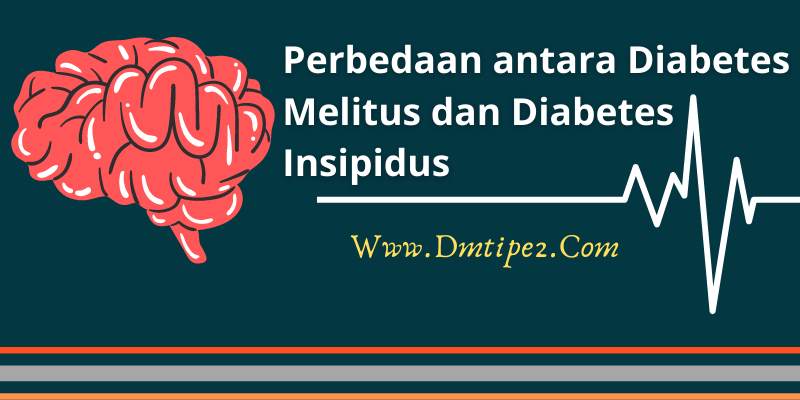 Detail Diabetes Melitus Dan Insipidus Nomer 38