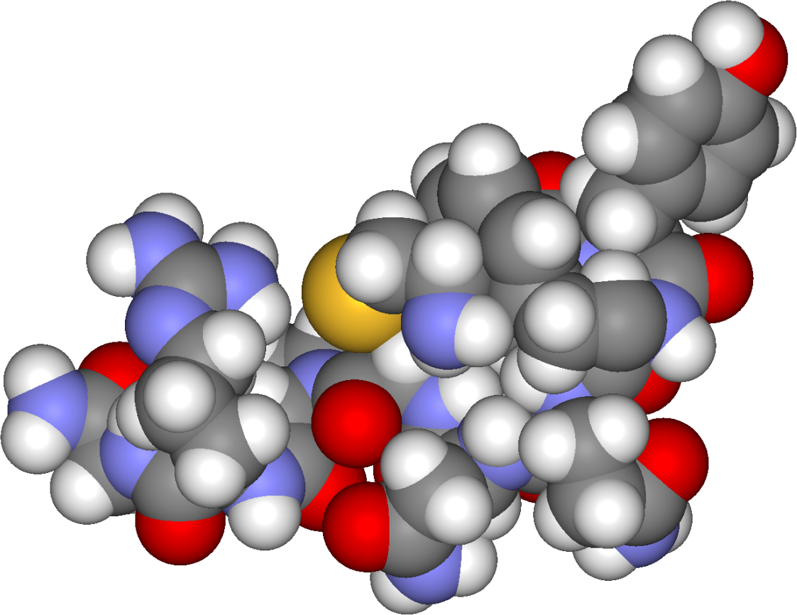 Detail Diabetes Melitus Dan Insipidus Nomer 53