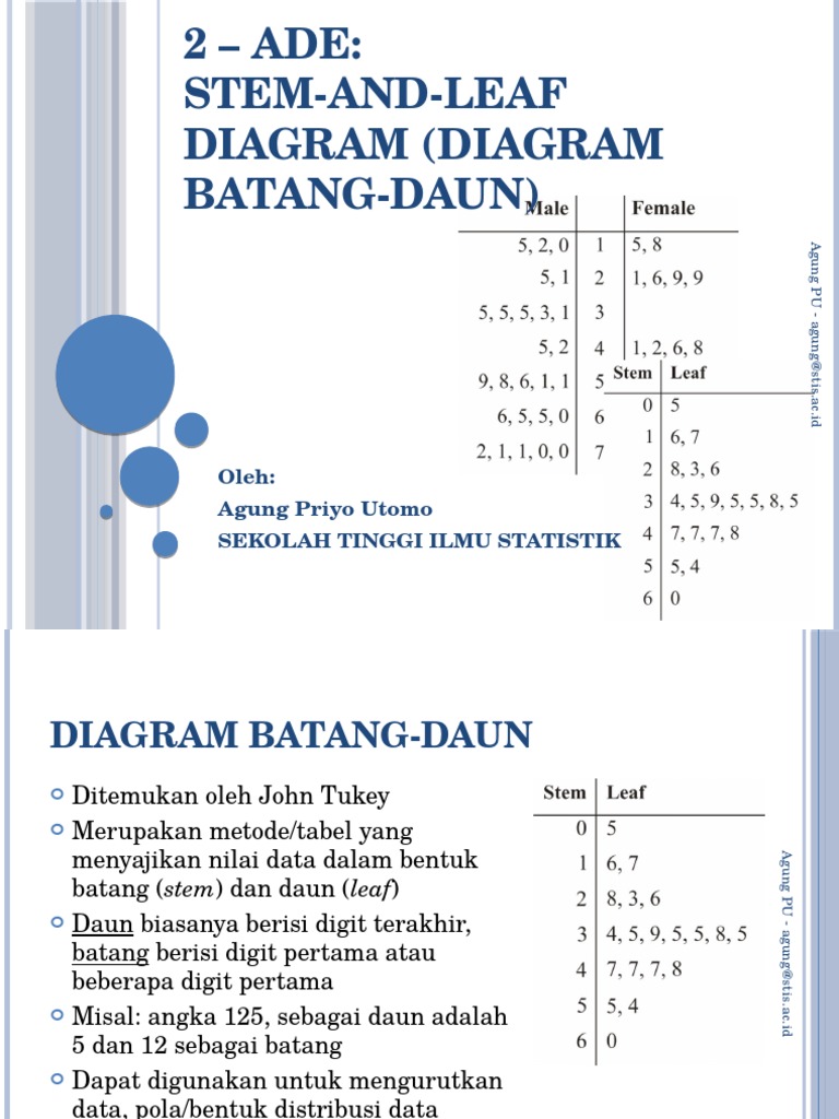 Detail Diagram Batang Dan Daun Nomer 45