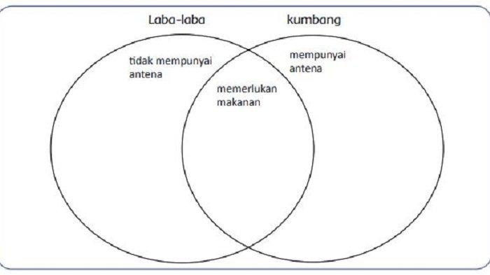 Detail Diagram Laba Laba Nomer 29