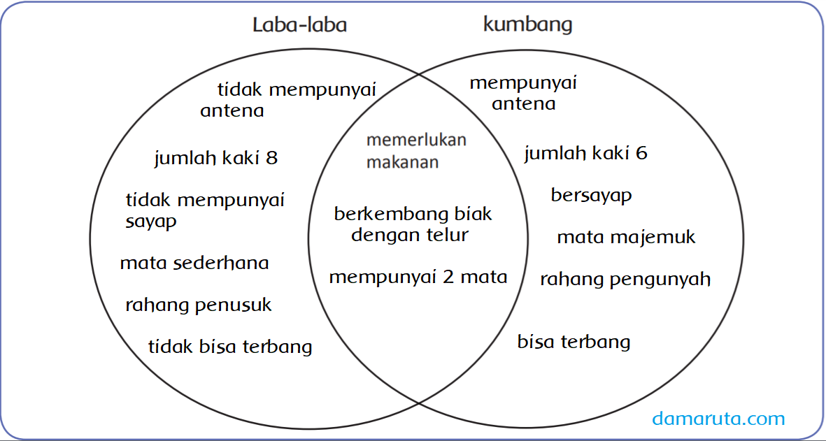 Detail Diagram Laba Laba Nomer 53