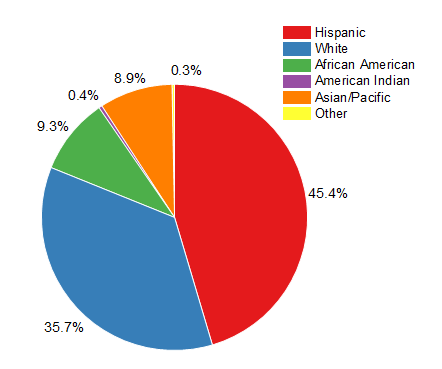 Detail Diagram Pie Chart Nomer 11