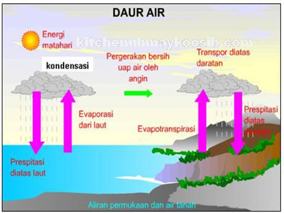 Detail Diagram Siklus Air Nomer 20