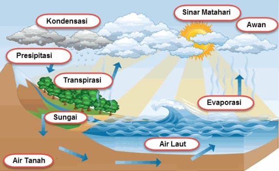 Detail Diagram Siklus Air Nomer 4