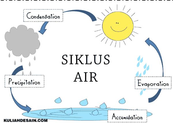 Detail Diagram Siklus Air Nomer 36