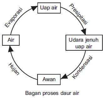 Detail Diagram Siklus Air Nomer 39
