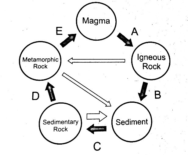 Detail Diagram Siklus Batuan Nomer 23