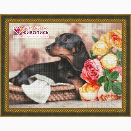 Detail Diamond Painting Dachshund Nomer 49