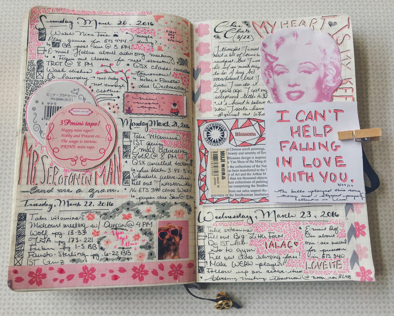 Detail Diary Book Tumblr Nomer 31