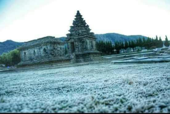 Detail Dieng Hujan Salju Nomer 7