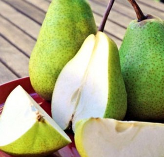 Detail Diet Buah Pear Nomer 19