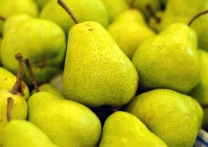 Detail Diet Buah Pear Nomer 23