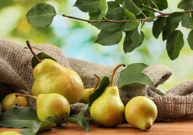 Detail Diet Buah Pear Nomer 28