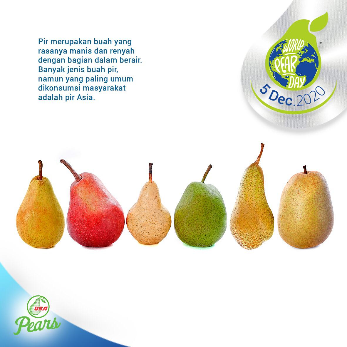 Detail Diet Buah Pear Nomer 31