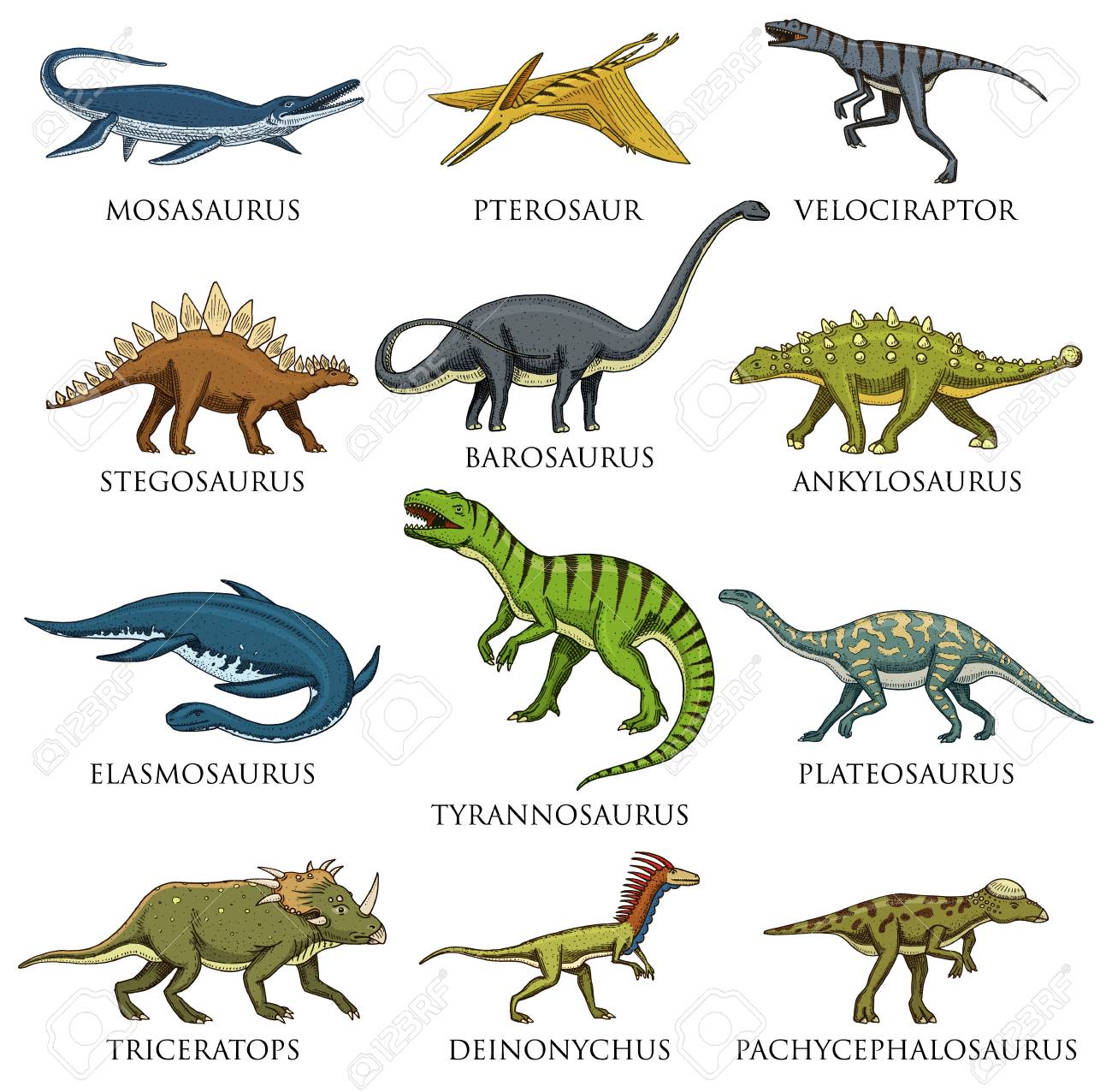 Detail Different Dinosaurs Images Nomer 15