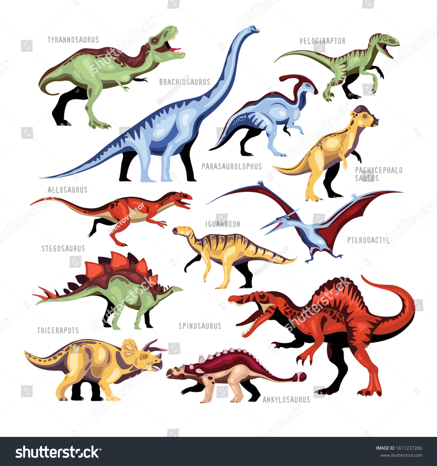 Detail Different Dinosaurs Images Nomer 24