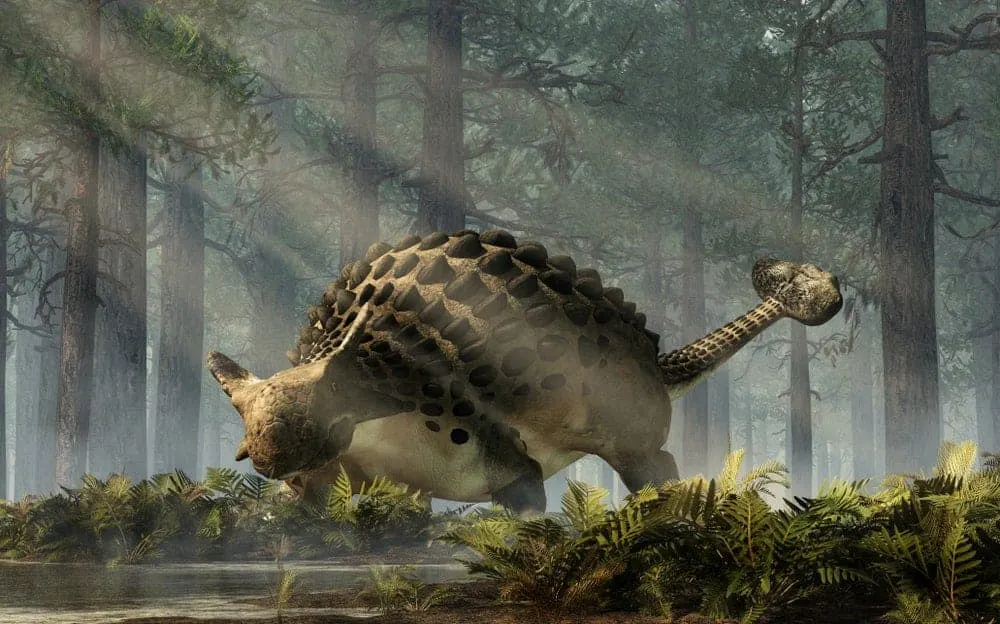 Detail Different Dinosaurs Images Nomer 34