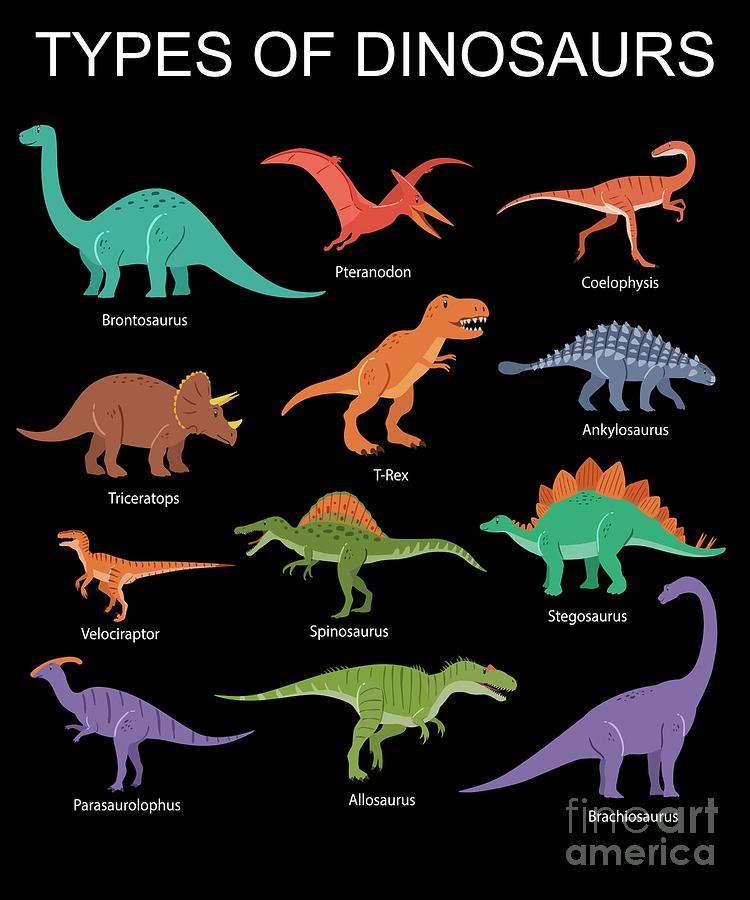 Detail Different Dinosaurs Images Nomer 8