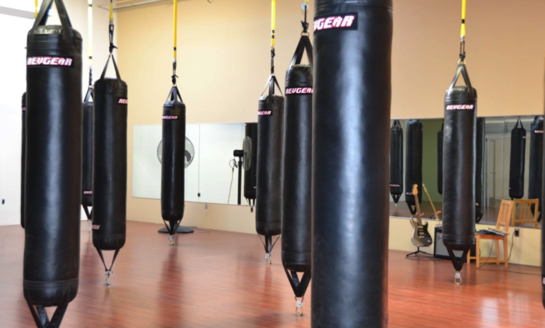 Detail Different Type Of Punching Bags Nomer 24