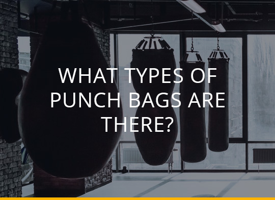 Detail Different Types Of Punching Bag Nomer 30