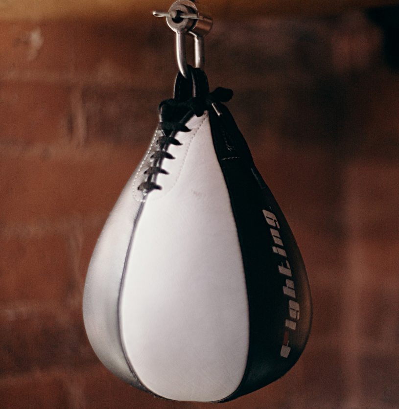 Detail Different Types Of Punching Bag Nomer 36