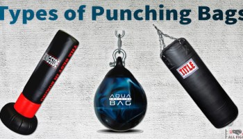 Detail Different Types Of Punching Bag Nomer 56