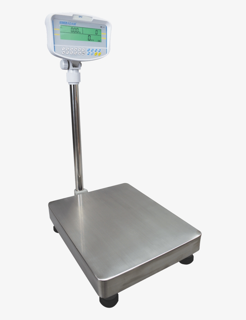 Detail Digital Scale Png Nomer 45