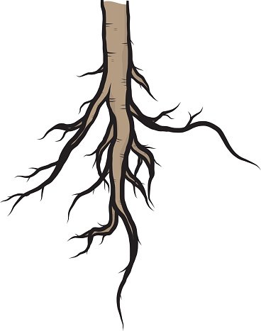 Detail Roots Clipart Nomer 2