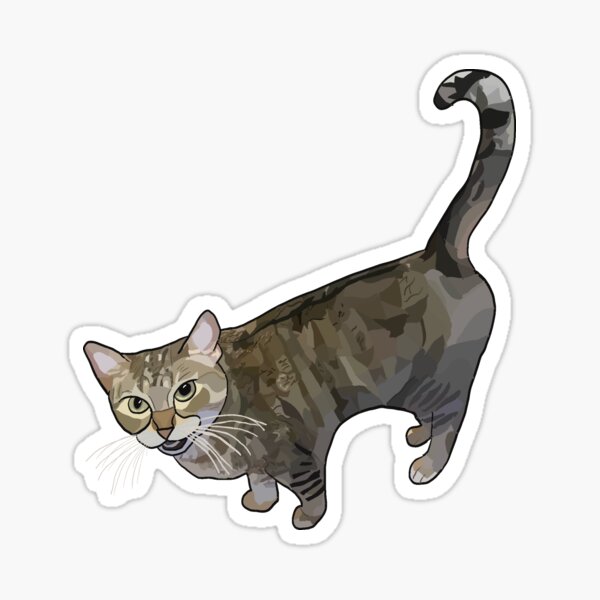 Detail Silbergrau Getigerte Katze Nomer 5