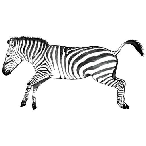 Detail Zebra Lustig Nomer 10