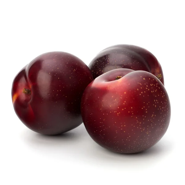 Detail Plum Fruit Images Nomer 38